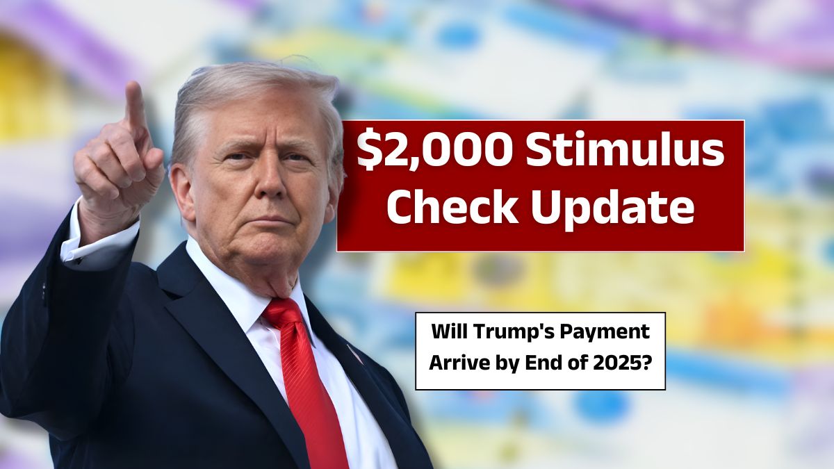 Stimulus Check