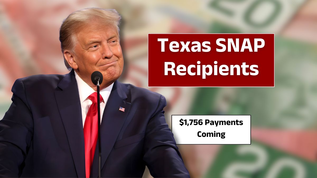 Texas SNAP Recipients